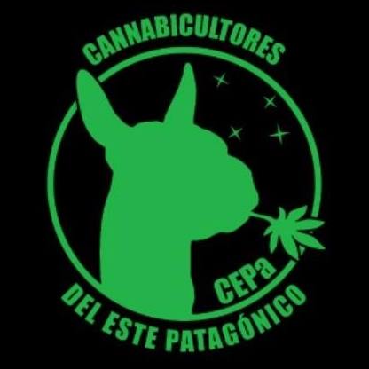 COLUMNA: CANNABICULTORES DEL ESTE PATAGÓNICO